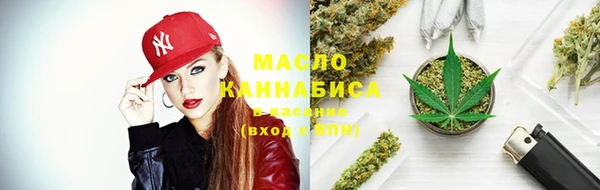 тгк Вяземский