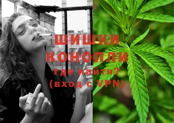 тгк Вяземский