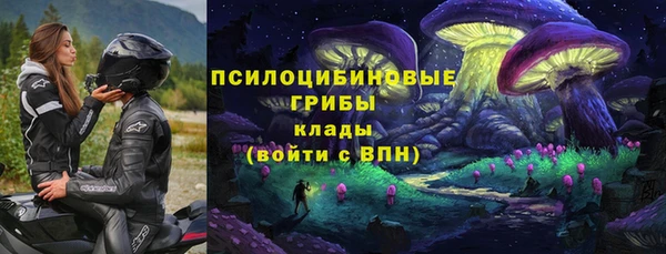 соль ск Вязьма