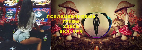 соль ск Вязьма
