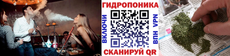 Бошки Шишки семена  Осташков 